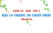 Bài 14 trang 38 Toán 12 Tập 1 Chân trời sáng tạo